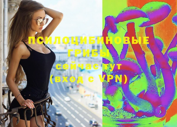гашик Кодинск