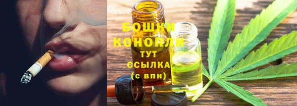 индика Козельск