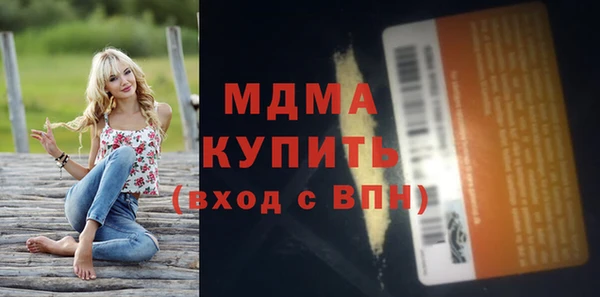индика Козельск