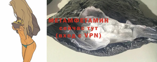индика Козельск