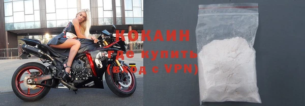 индика Козельск