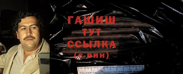 индика Козельск