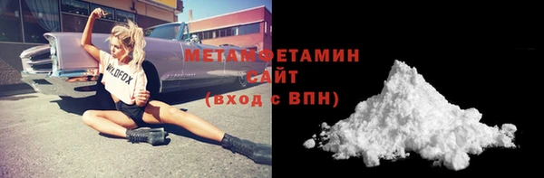 индика Козельск