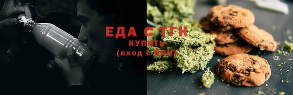 индика Козельск