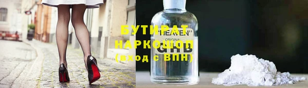 индика Козельск