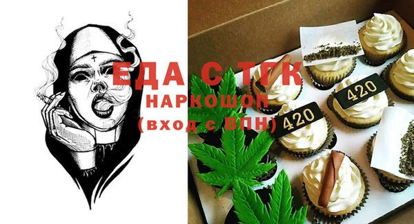 индика Козельск