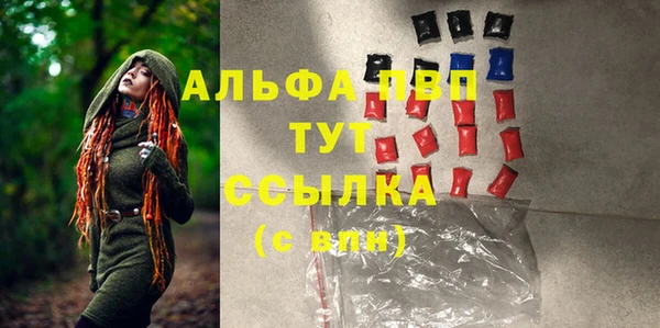 гашик Кодинск