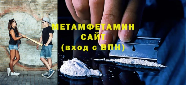 индика Козельск