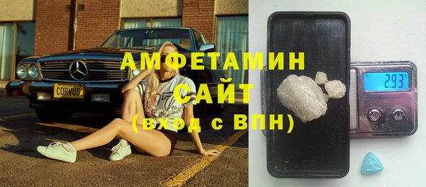 индика Козельск