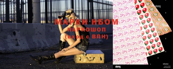 индика Козельск