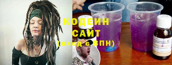 гашик Кодинск