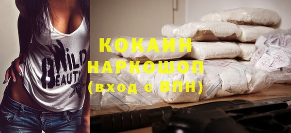 гашик Кодинск