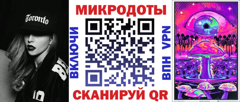 Купить закладки  Злынка  Псилоцибиновые грибы Psilocybe 